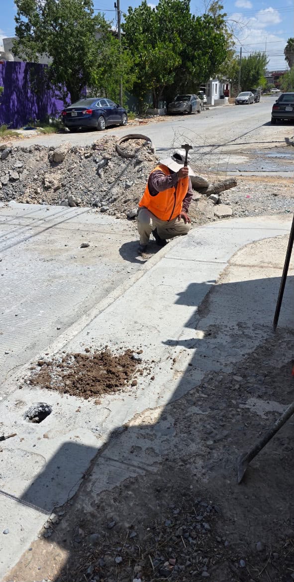 Imagen de la obra
